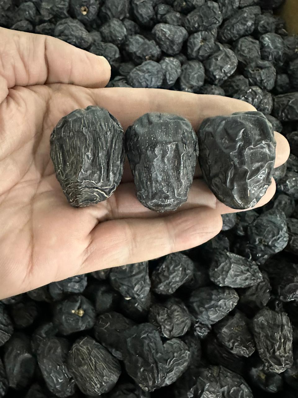 Ajwa Saudi Dates varieties cultivated from AL Madina