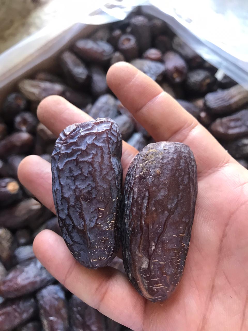 Anbar Saudi Dates varieties cultivated from AL Madian