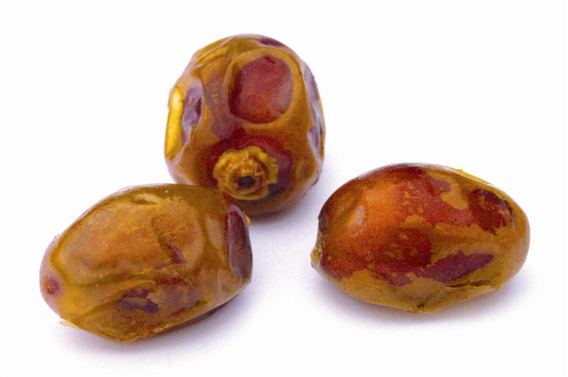 Berhi Saudi Dates varieties cultivated from AL Qassim