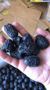 The Art and Flavor of Saudi Dates and Their Delights 2 Ajwa Dates cultivated from Al Madina