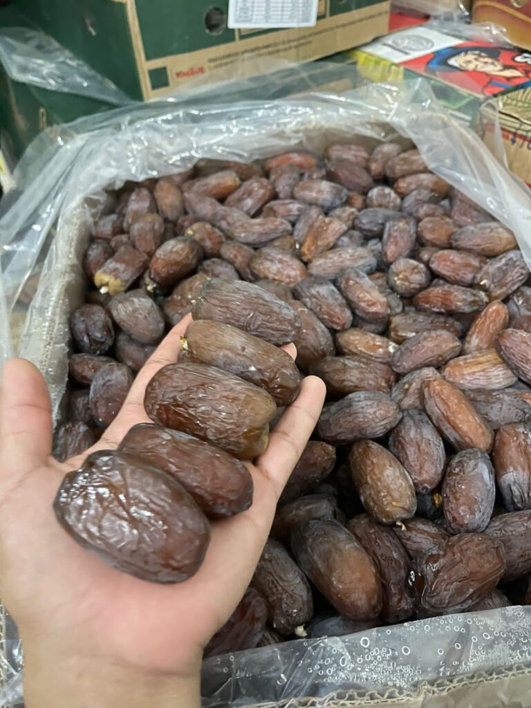 Medjool Dates 1 Medjool Dates wholesale