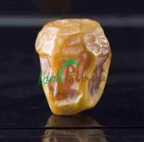 تمر سكري رطب سعودي، قوام طري وطازج، جودة عالية للاستهلاك والتصدير