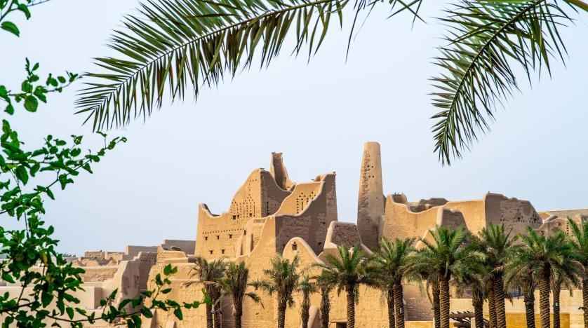 Palm Tree History in Saudi Arabia