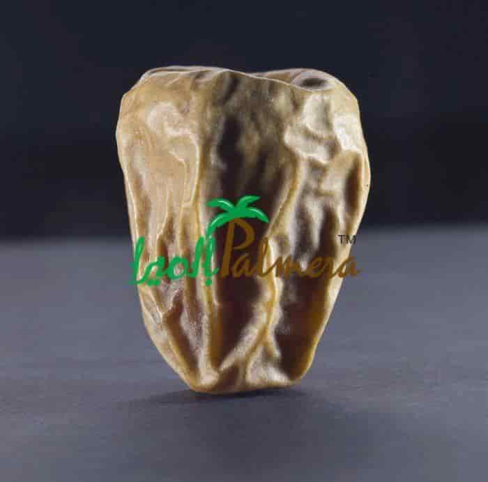 تمر سكري جاف سعودي، قوام شبه جاف، مناسب للتصدير والتخزين