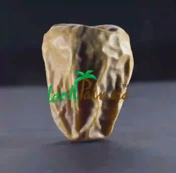 تمر سكري جاف سعودي، قوام شبه جاف، مناسب للتصدير والتخزين