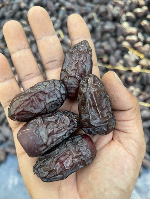 The Art and Flavor of Saudi Dates and Their Delights 3 Premium Saudi Safawi dates export product — Date from Al Madina