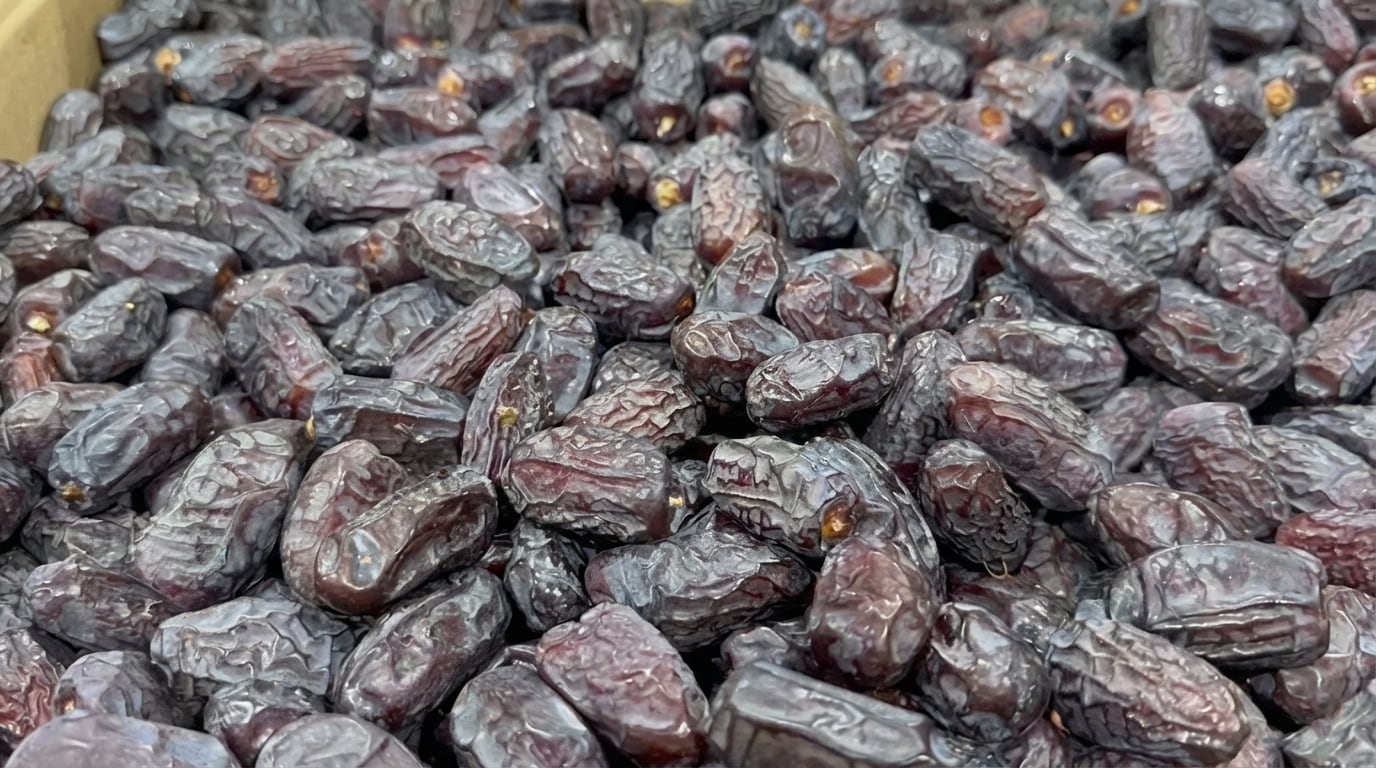 Safawi dates wholesale exporter – Bulk supply for global markets