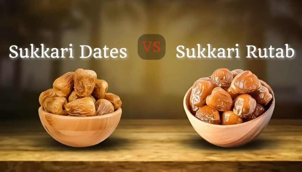 Sukkari dates wholesale supplier – High-quality bulk exports from Saudi Arabia